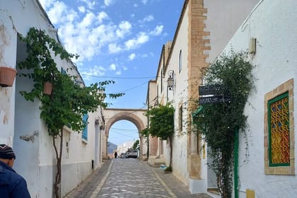 Zaghouan Aqueduct Thuburbo Majus & Uthina Daytrip from Tunis