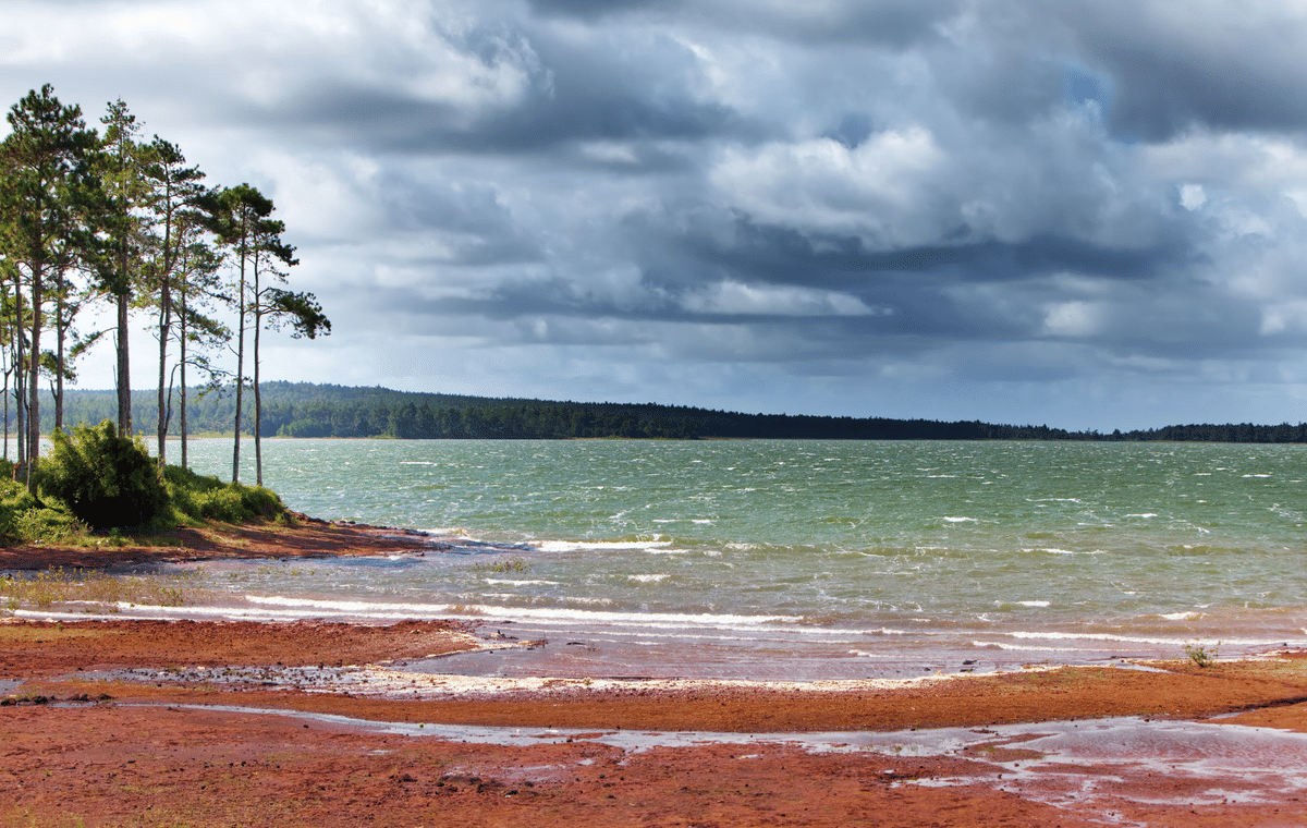 Mauritius: Private South Tour with Entry Fees & Lunch