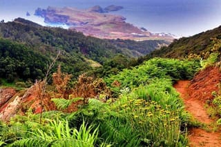 Day Trip to Larano / Boca Do Risco