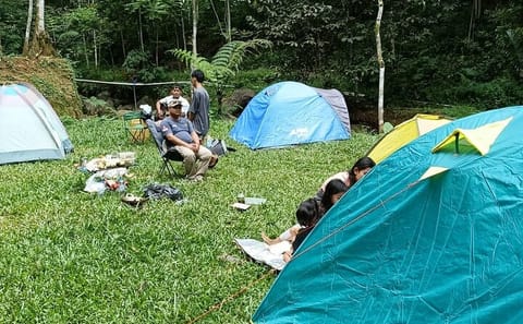 Camping and Hiking Adventure in Bogor, Jakarta