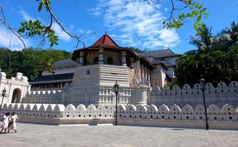 Adventure Tour in Colombo: 3 Nights of Nature and Culture