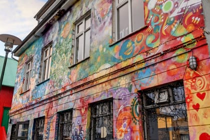 Private Reykjavik Street Art & Photo Friendly Walking Tour