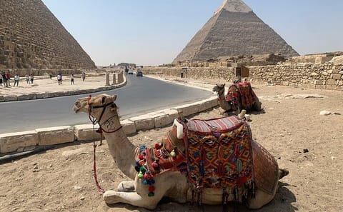 Private Half-Day Tour of Giza Pyramids and Sphinx