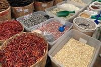 Crossing Borders: Tijuana Day Trip from San Diego 6