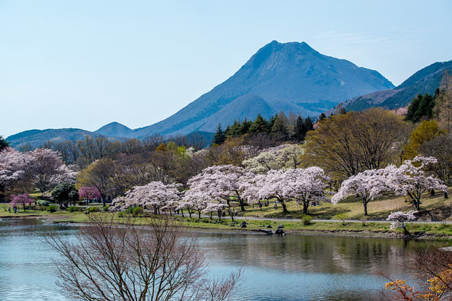 Beppu Private Vehicle Service with Restaurant Reservation