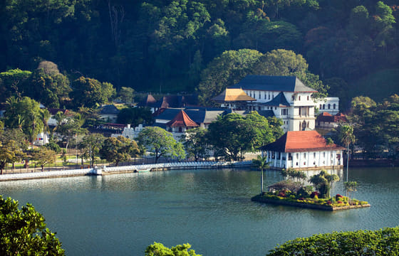 Discover the rich and vast cultural heritage of Sri Lanka within 5 days