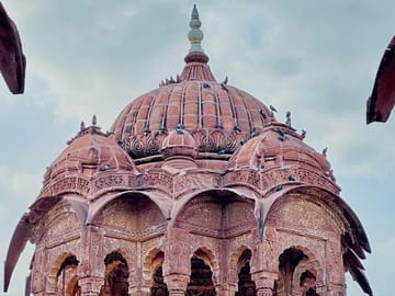 Bishnoi Village Cultural Experience Tour from Jodhpur