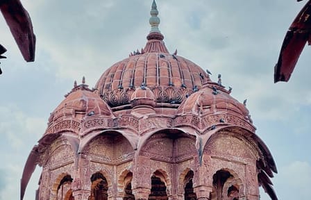 Bishnoi Village Cultural Experience Tour from Jodhpur