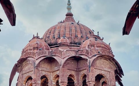 Bishnoi Village Cultural Experience Tour from Jodhpur