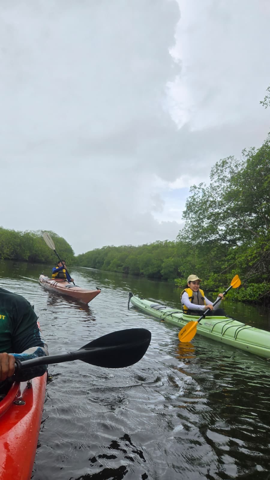 paddle through channel and waterway and learn about mangroves