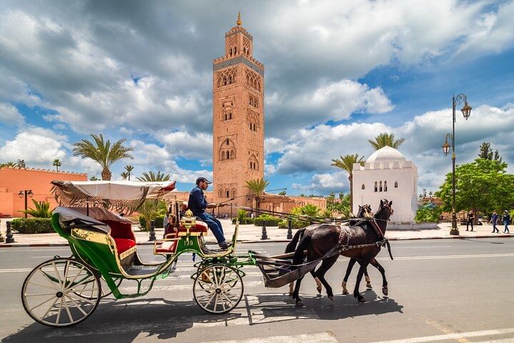 Marrakech Highlights Day Trip from Casablanca