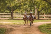 Visit to a local Ranch Plantation with Monkeys Horseback & Buggy 10
