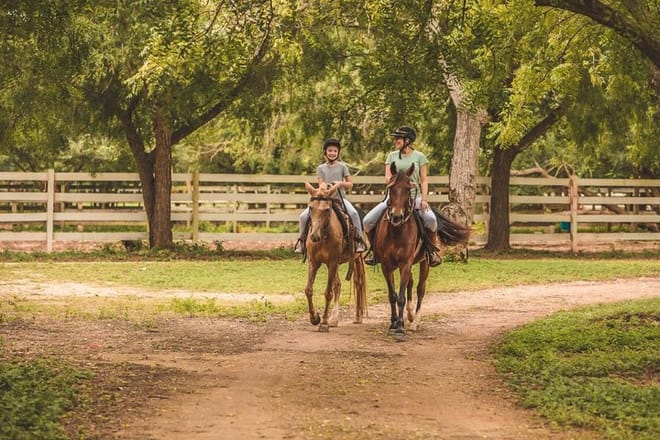 Visit to a local Ranch Plantation with Monkeys Horseback & Buggy 10
