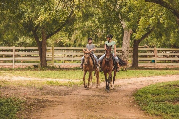 Visit to a local Ranch Plantation with Monkeys Horseback & Buggy 10