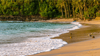 Best of Nusa Penida Island Beach Tour 5