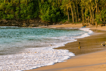 Nusa Penida Island Beach Tour with Kelingking Beach Visit