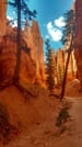 <p>Bryce Canyon</p>