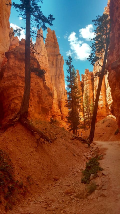 <p>Bryce Canyon</p>