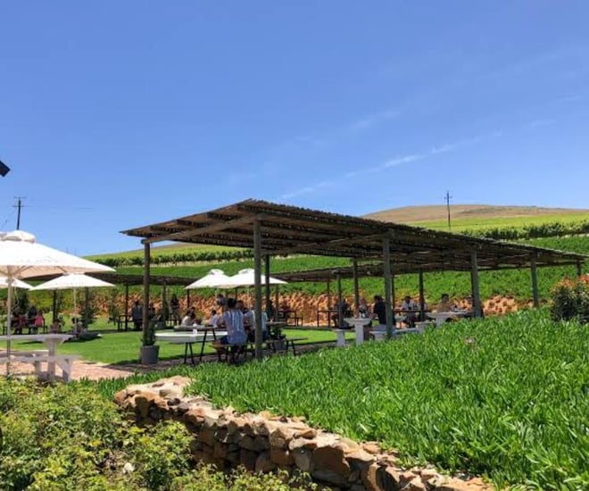 CAPE TOWN  :FULL-DAY  WINE  TASTING TOUR WITH  WINE  TRAM - Photo 19