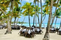 Saona Island Full Day Tour with Buffet Lunch, Paella, & Open Bar 1