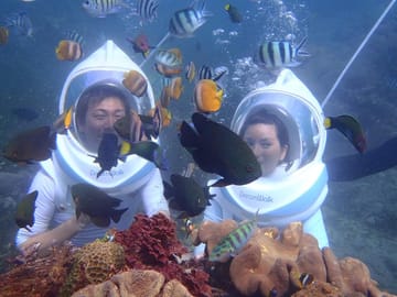 Capture Sea life