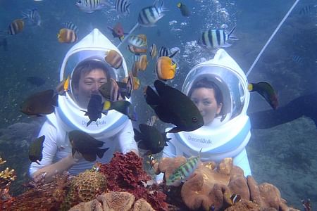 Explore Bali’s Underwater Wonders with Sea Walker & Thrilling Water Sports