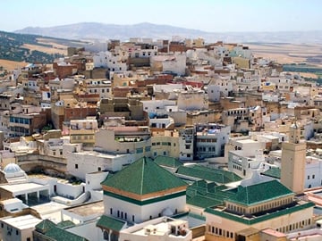 Fes to Volubilis Moulay Idriss and Mekns Day Trip Small Group