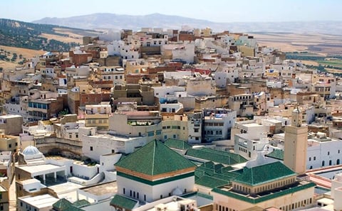 Fes to Volubilis Moulay Idriss and Mekns Day Trip Small Group