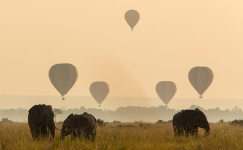 7-Day Luxury Safari and Beach Experience in Kenya