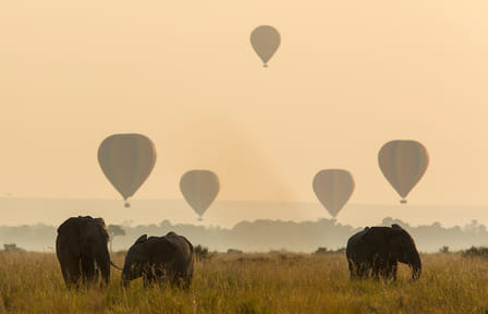 7-Day Luxury Safari and Beach Experience in Kenya