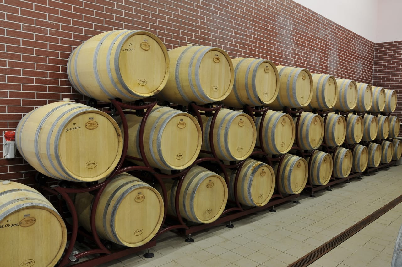 Private & Unique Sliven History and Wine Day Experience 7