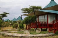Exquisite AA lodges