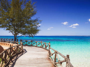 Zanzibar: Escape To Prison Island: Nature’s Giants and Historical Secrets