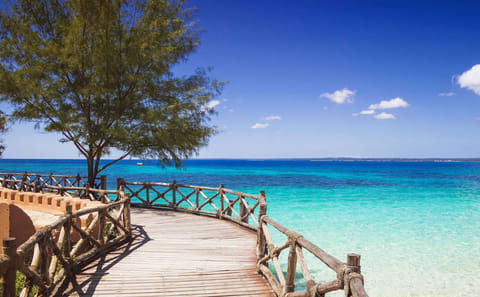 Zanzibar: Escape To Prison Island: Nature’s Giants and Historical Secrets