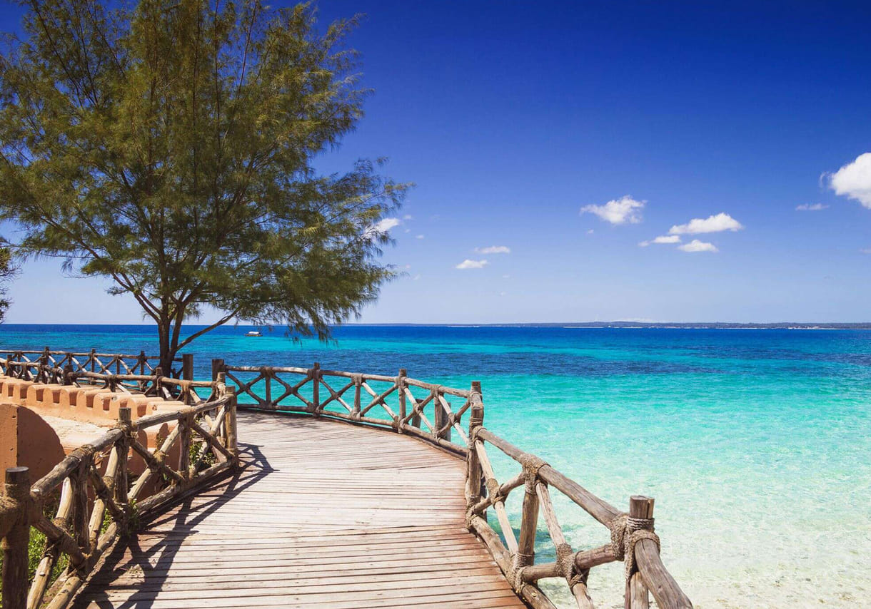 Zanzibar: Escape To Prison Island: Nature’s Giants and Historical Secrets 3