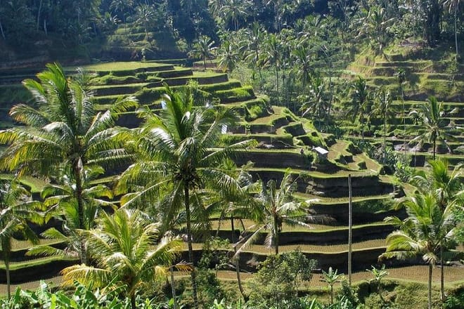 Denpasar