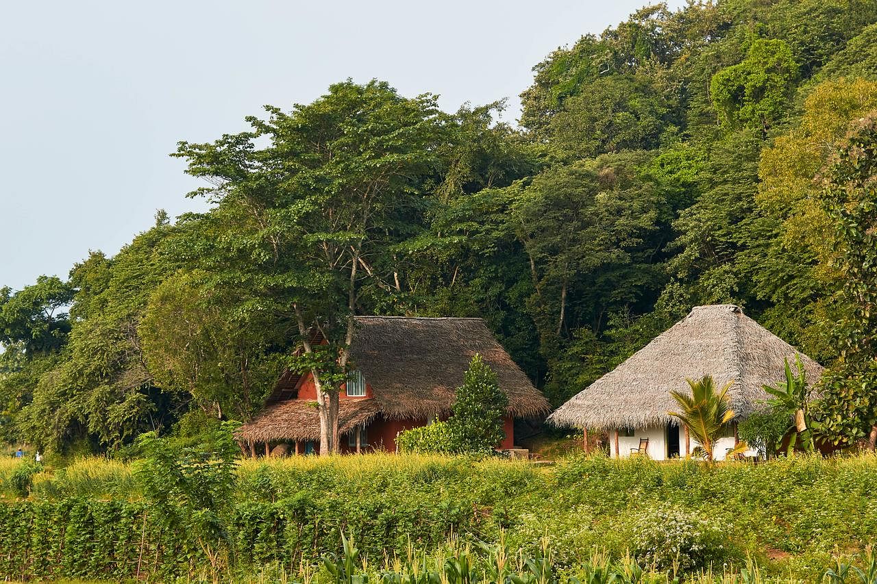 Ayurveda Retreats and Historical Insights in Dambulla, Sri Lanka