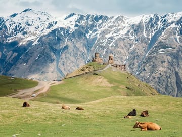 8-Day Cultural Tour of Aspindza and Dmanisi, Georgia