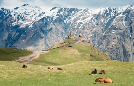 8-Day Cultural Tour of Aspindza and Dmanisi, Georgia