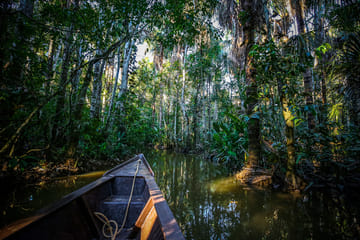 Three-Day Rainforest Adventure Tour from Iquitos, Peru
