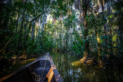 Three-Day Rainforest Adventure Tour from Iquitos, Peru