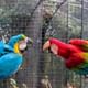 Bird Park