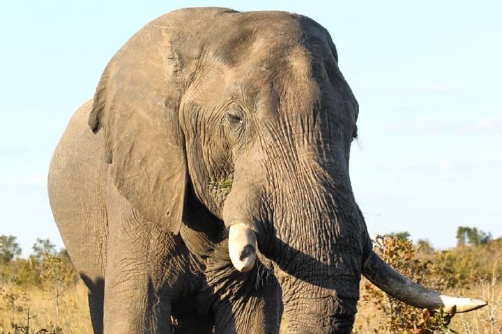 15 minutes scenic helicopter flight above Victoria Falls-Zimbabwe