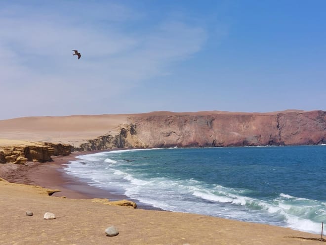 Paracas National Reserve Half Day Tour 9