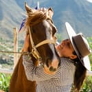 Half day visit to Safari Park Rancagua Chile a wild adventure 3