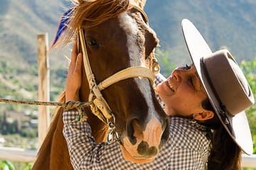 Half day visit to Safari Park Rancagua Chile a wild adventure