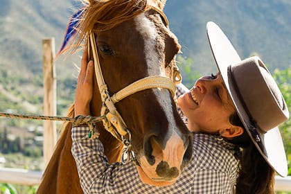 Half day visit to Safari Park Rancagua Chile a wild adventure
