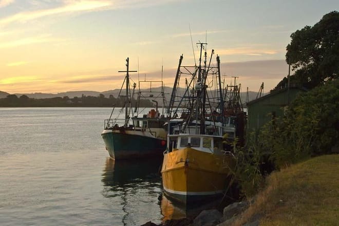 Tauranga Self-Guided Audio Tour