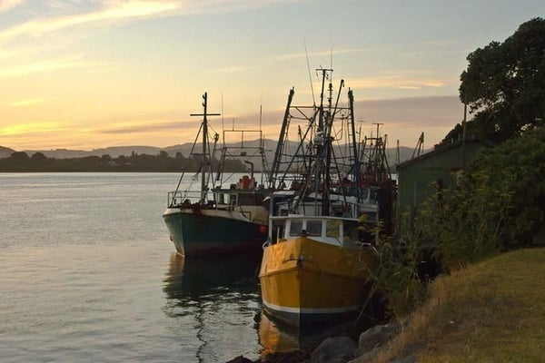 Things to do in Tauranga