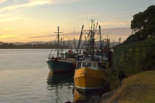 Tauranga Self-Guided Audio Tour